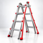 Little Giant